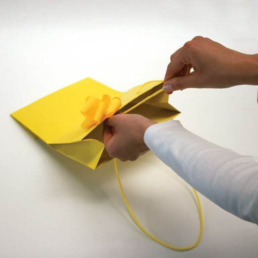 Svelto®Shopper